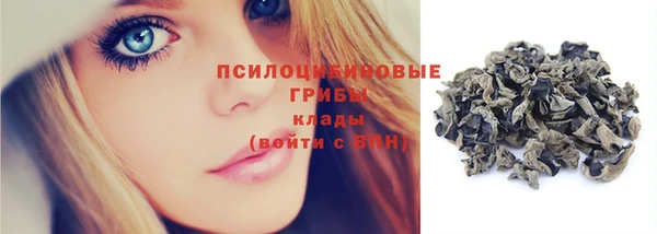 молекула духа Мегион