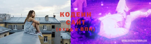спиды Бикин