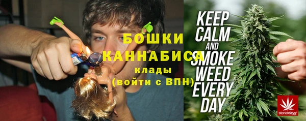 молекула духа Мегион