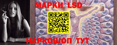apvp Ирбит