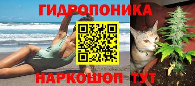 apvp Ирбит