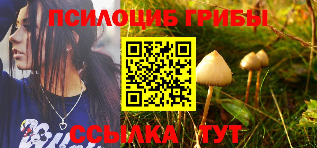 Галлюциногенные грибы Psilocybe  Вход с VPN  Псилоцибиновые грибы ЛСД  Орск 