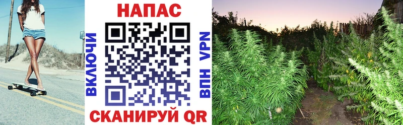 купить наркотики сайты Орск Конопля конопля