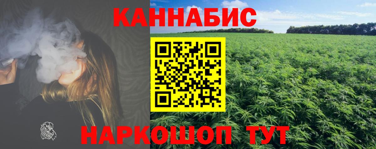 Бошки Шишки гибрид Орск