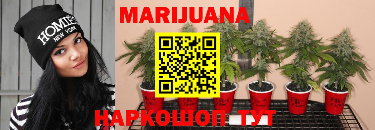 Бошки марихуана марихуана  Вход с VPN  Орск  Канабис THC 21%  Конопля семена  Бошки марихуана MAZAR 